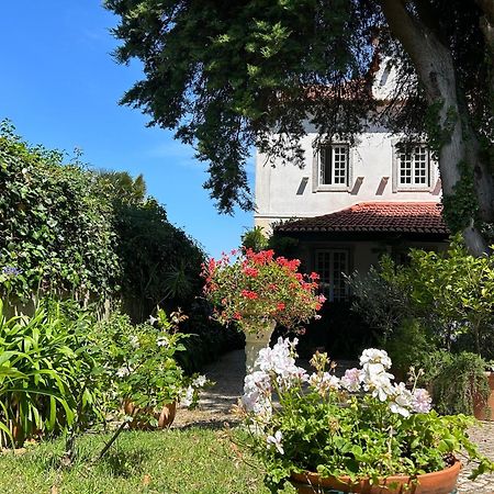 Villa Branca Jacinta Sintra Eksteriør billede
