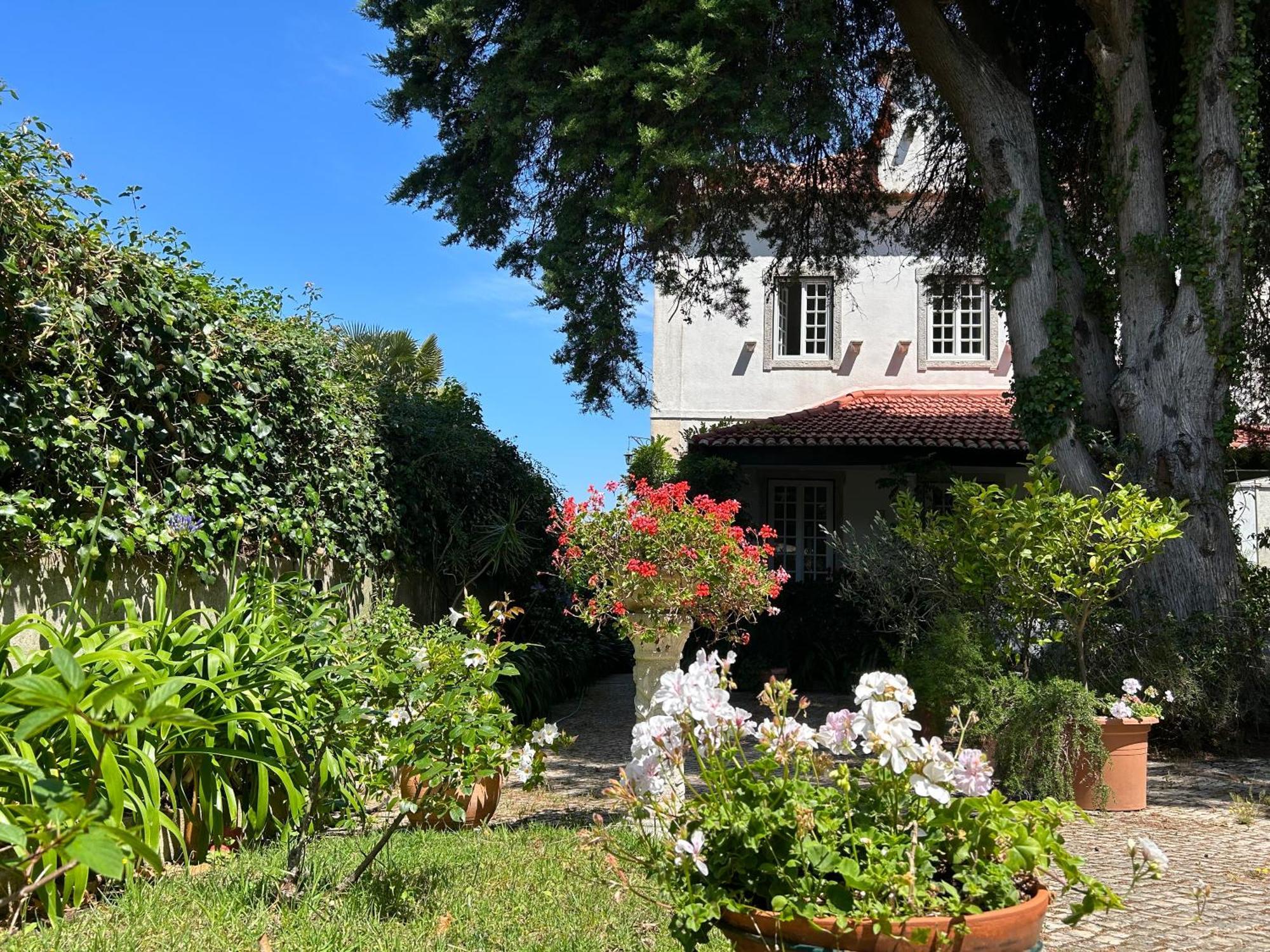 Villa Branca Jacinta Sintra Eksteriør billede