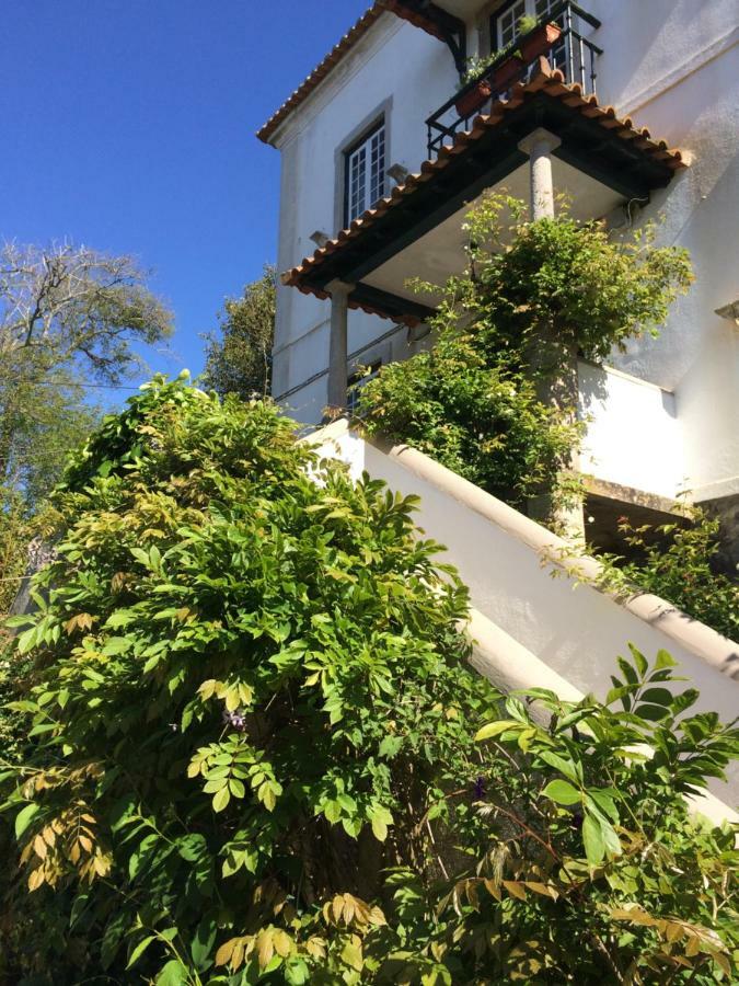 Villa Branca Jacinta Sintra Eksteriør billede