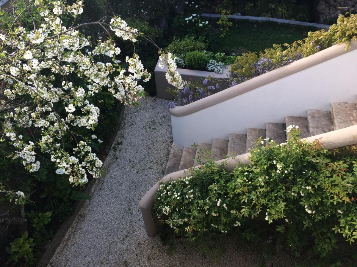 Villa Branca Jacinta Sintra Eksteriør billede